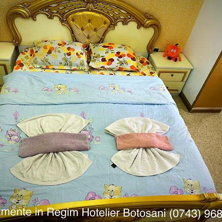 Apartament De Lux Zona 0 Botosani 2 Camere Esterno foto